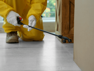 About Rat Control Alpine Heights - rat control experts in Alpine Heights