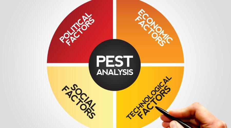 Professional rat control services in Alpine Heights - Rat Control Alpine Heights